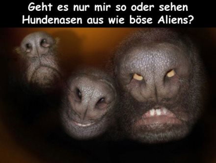 ckz8rumo.jpg