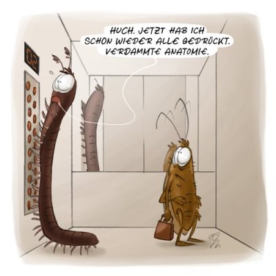 j9el6zh5.jpg