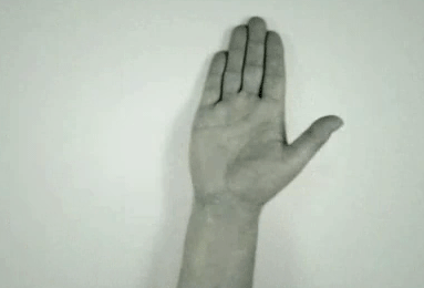 wy252z2q.gif