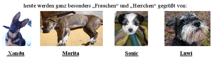 wuxvztzj.jpg