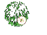 ksterren-(21).gif