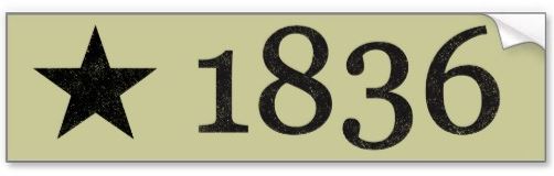 nzcv8b9c.jpg