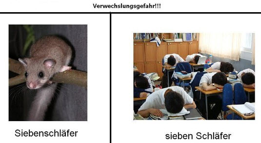 ifzi5et3.jpg