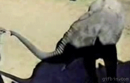 3c929d786c38.gif