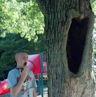 2emupvoe.jpg