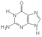 guanin.gif