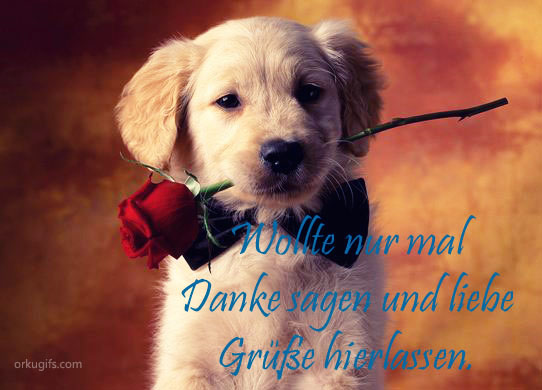 wollte-nur-mal-danke-sagen-und-liebe-gruesse-hierlassen_479.jpg