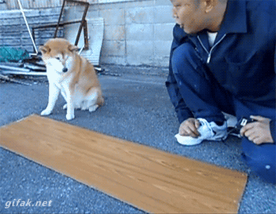 pkeqactp.gif