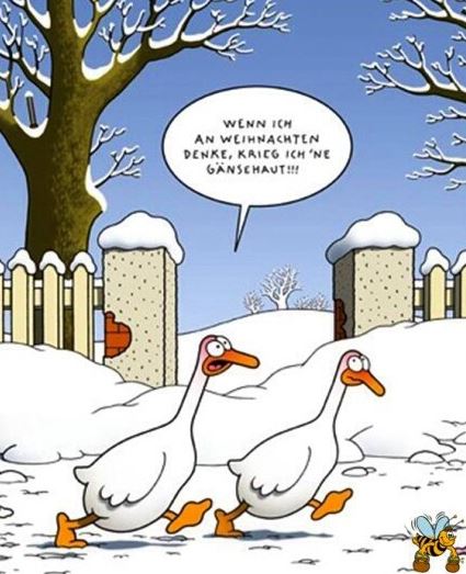 wel7xjd8.jpg