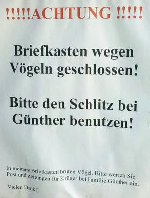 4ikz6zvk.jpg