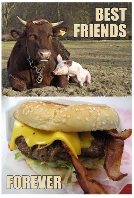 picdump-12-11-16-129.jpg