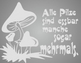 cyzlvukc.jpg