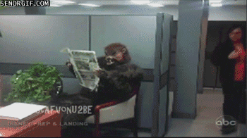 iyqww8l6.gif