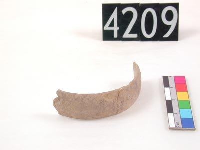 uc4209_2.jpg