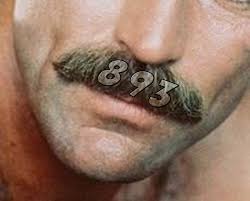 tfoybqq3.jpg