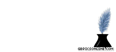 062.gif