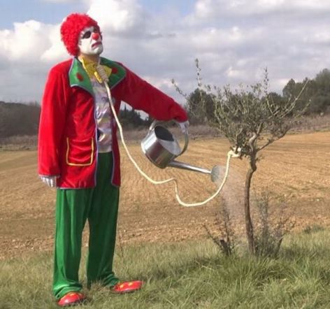 s9bjsitc.jpg