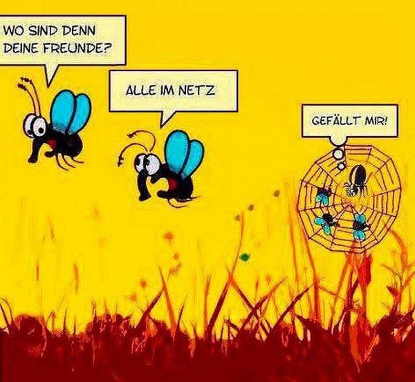 3wruiuuj2dz.jpg