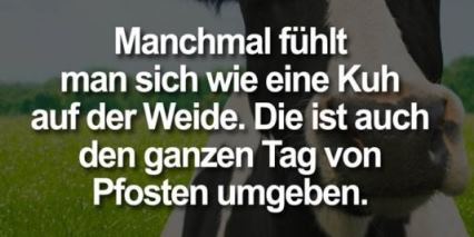 z8ices5l.jpg