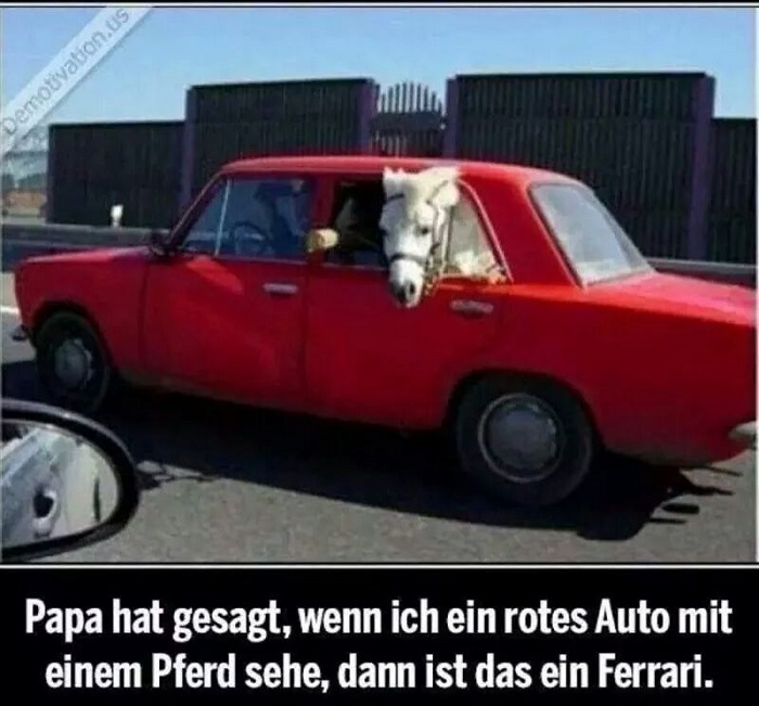 raua6xjd.jpg