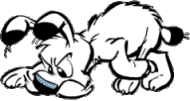 r9xb4nxb.gif