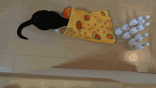 adcpu2t2.gif
