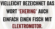 5i3iB7.jpg